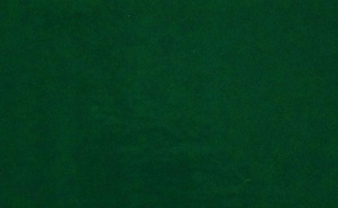 PGS-017 GREEN CB